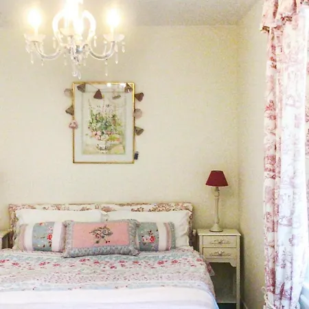 Pet Friendly In Scillé