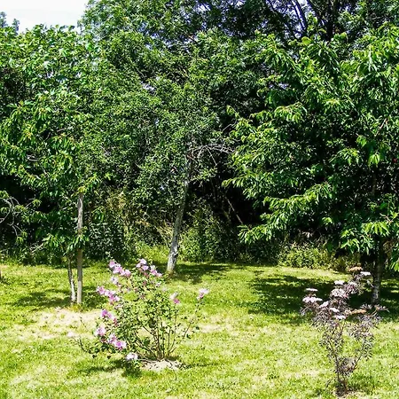 Gorgeous In With Wifi Holiday home *
